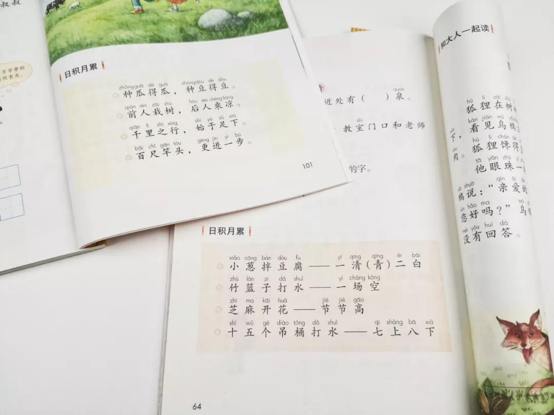 语文为王的时代解析,语文为王的时代到来的视频