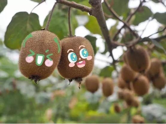 离成都1.5小时车程藏了一个小江南,连石板都是从乌镇运来的!