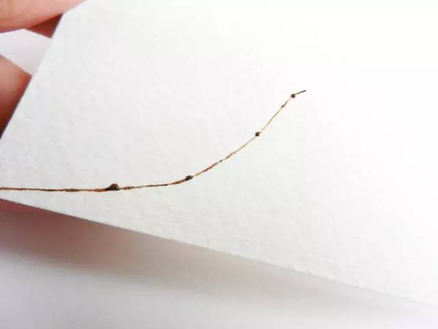 用吸管吹成的水彩画,吸管笔水彩画教程