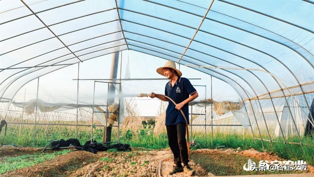 喜报荣获省级称号,喜报获金奖