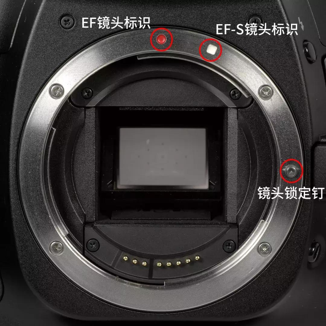 佳能90移轴镜头怎样使用,佳能501.4镜头如何使用