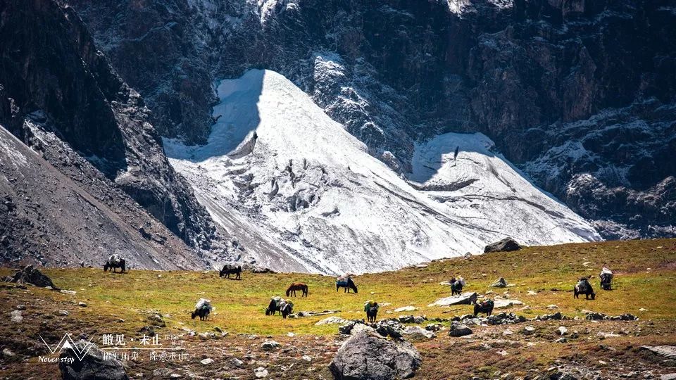 希夏邦马环线徒步8日行程,户外徒步希夏邦马峰大环线视频