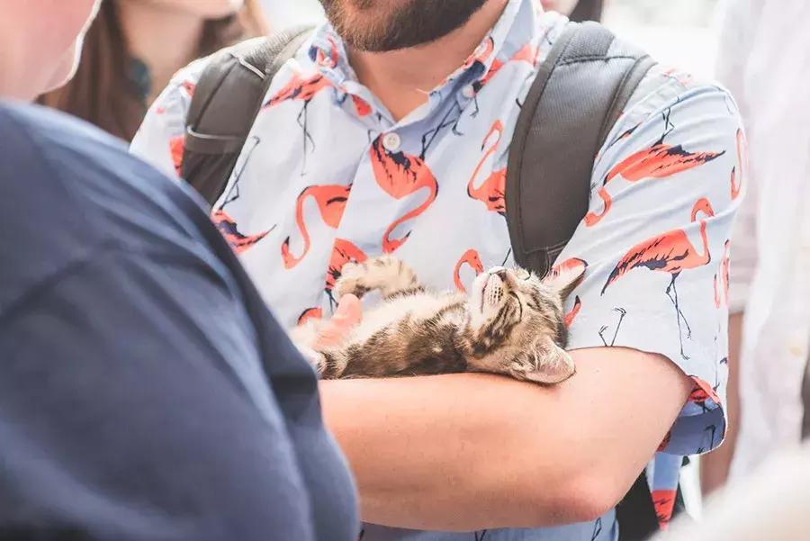 致每一位爱宠人，请了解下困难重重的TNR