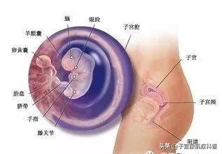 到底是剖腹还是顺产好,顺产和剖腹产到底怎么选择