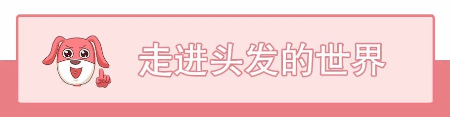 史上最强防脱发指南,脱发严重这个防脱发妙招很好用