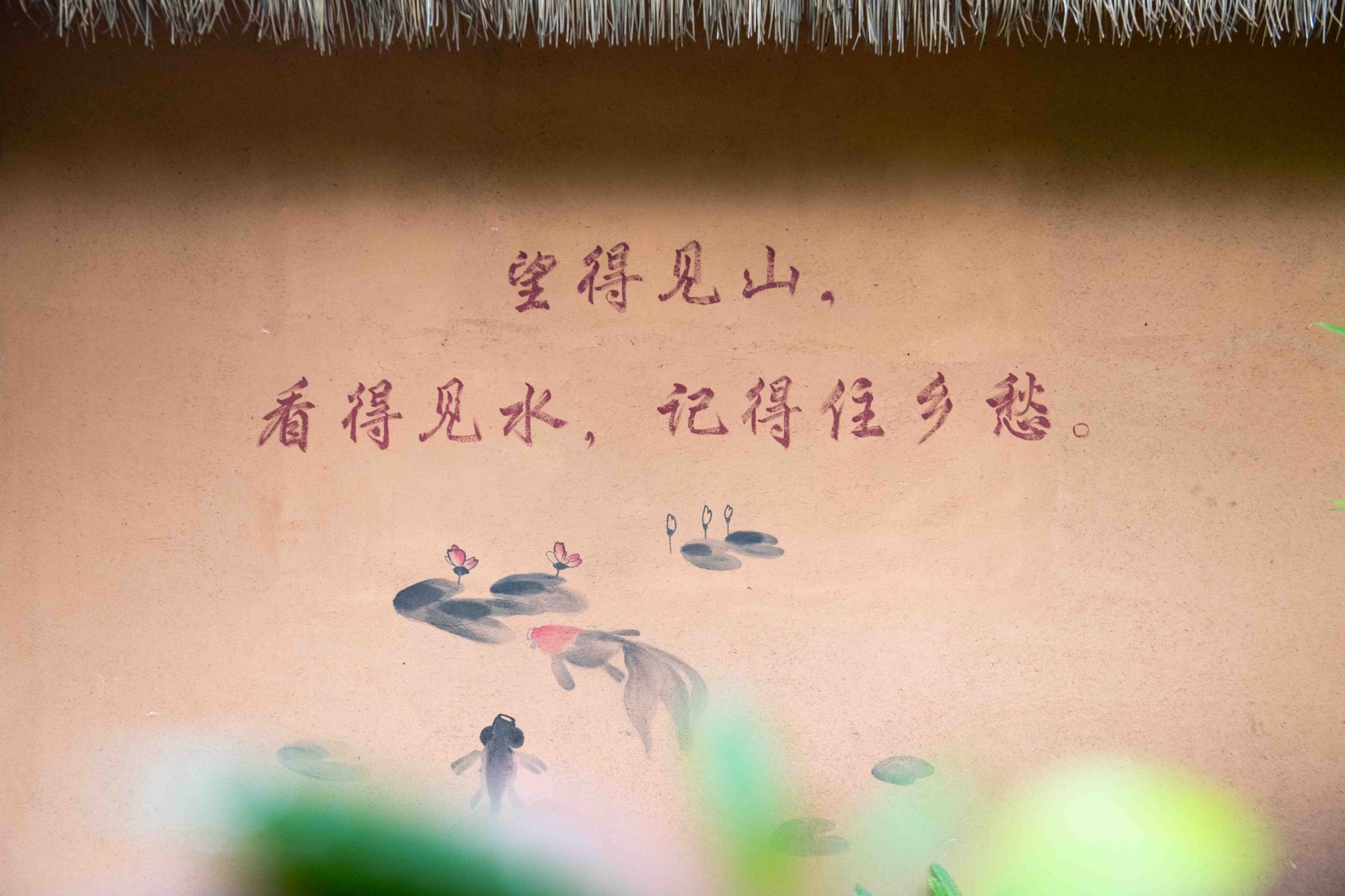 万绿湖美景拍摄,航拍万绿湖风景视频