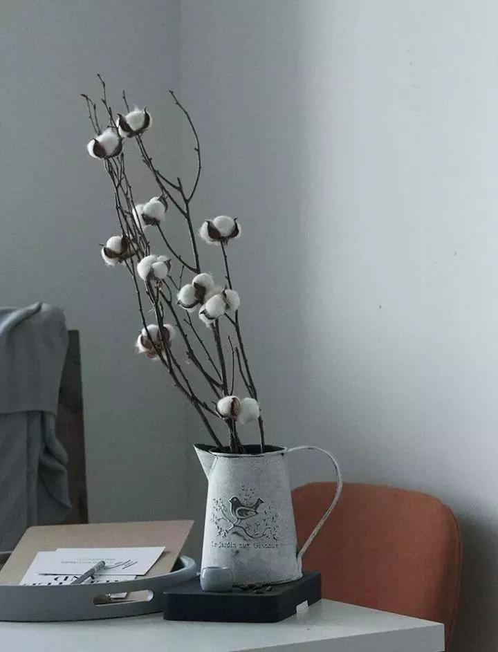 她用这种高颜值的干花装饰家里，隔壁邻居都惊叹不已