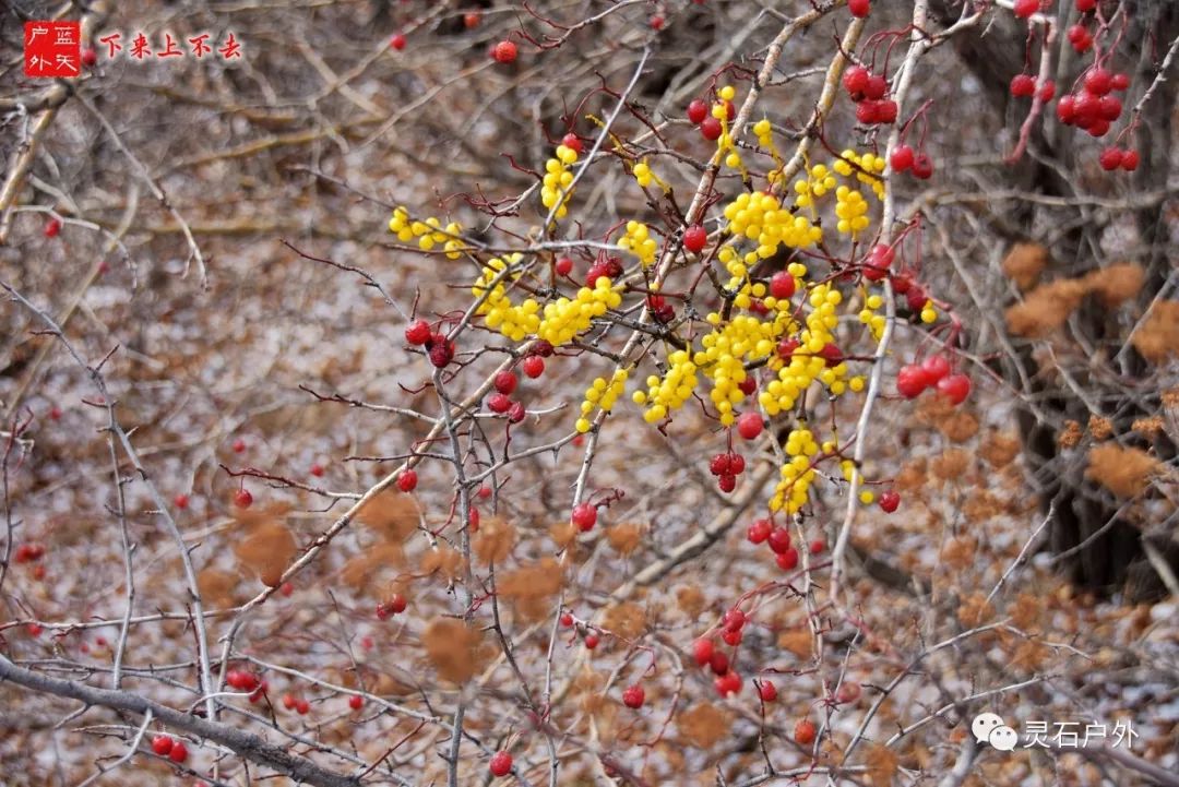 灵石登山运动,灵石登山步道
