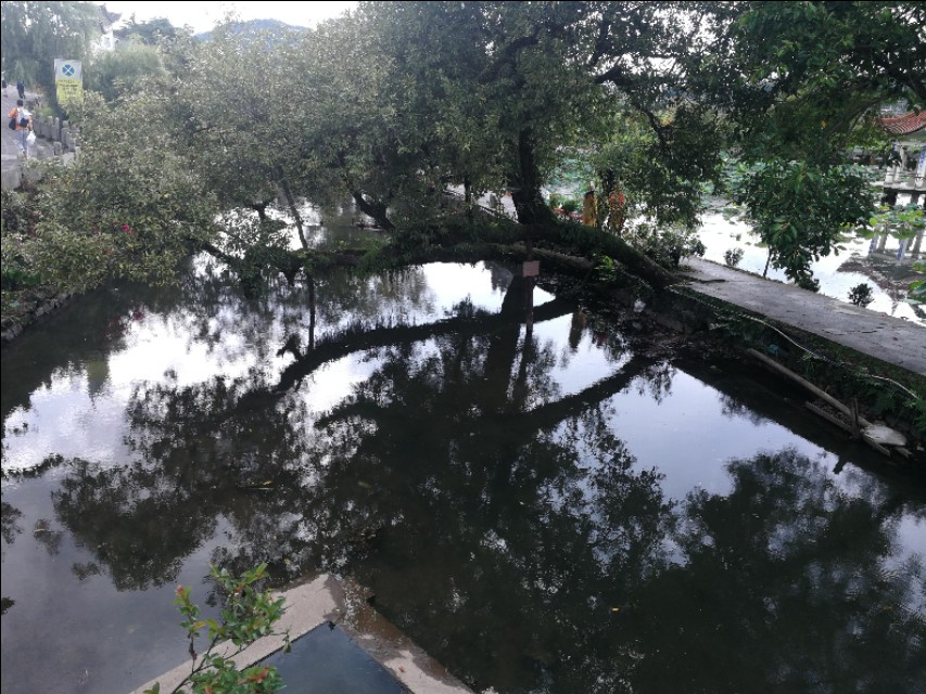 鑵惧啿鐑捣娉℃尽,鑵惧啿鐙竴鏃犱簩鐑捣