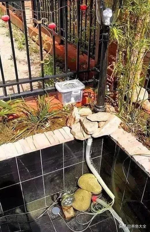 经历2次整池团灭，没关系！接着买从头再来！