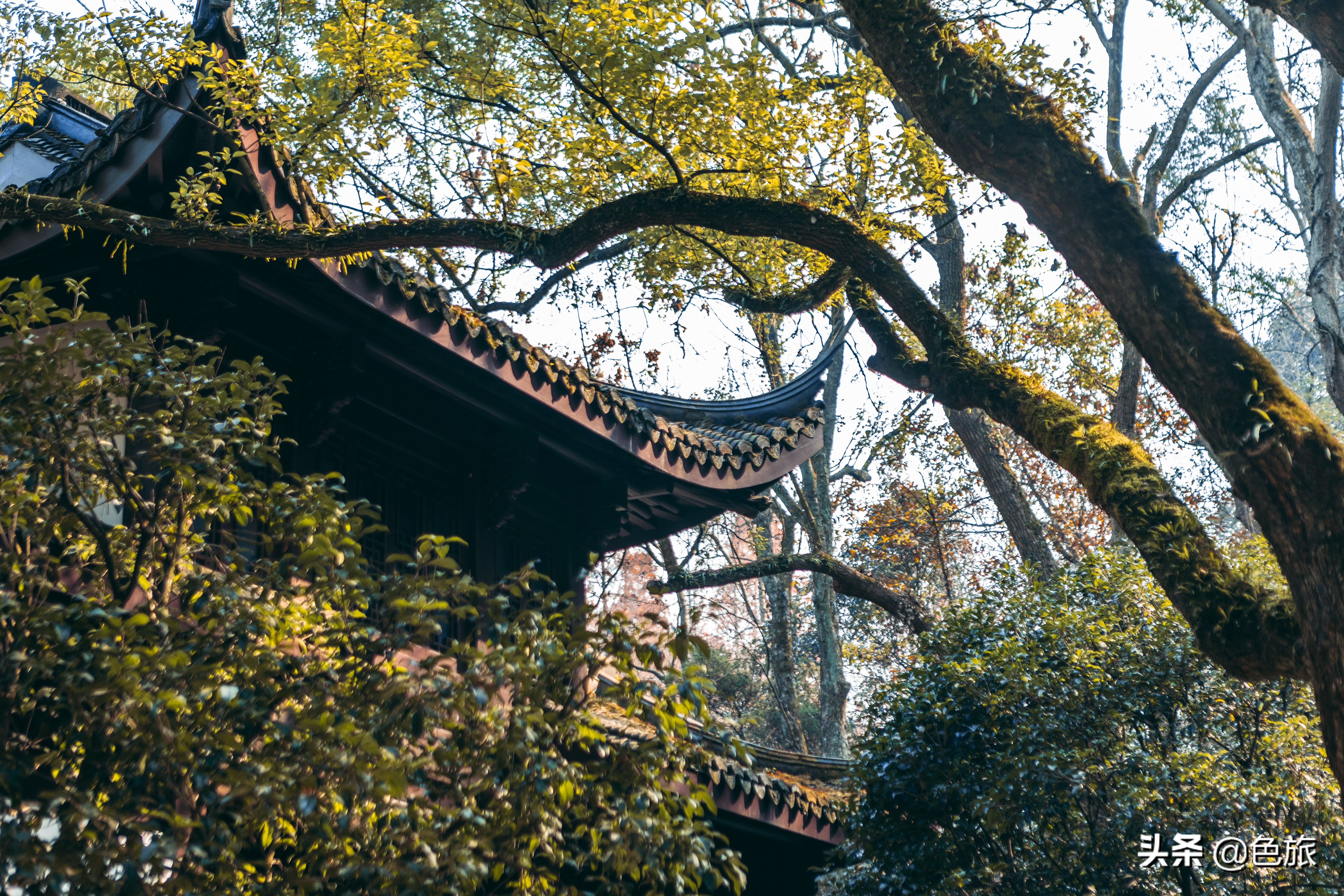 逆水寒游历虎跑梦泉怎么出葫芦,杭州游玩虎跑泉
