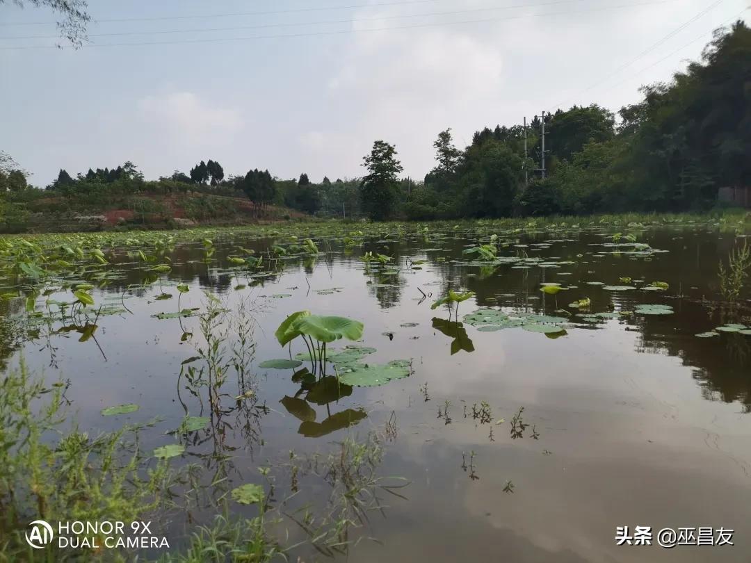 天不怕地不怕就怕潮汕人说普通话,千不怕万不怕就怕四川人讲普通话