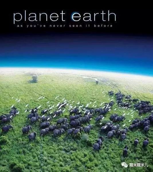 看什么纪录片能让孩子爱上学习,让孩子成绩暴涨的五部寒假纪录片