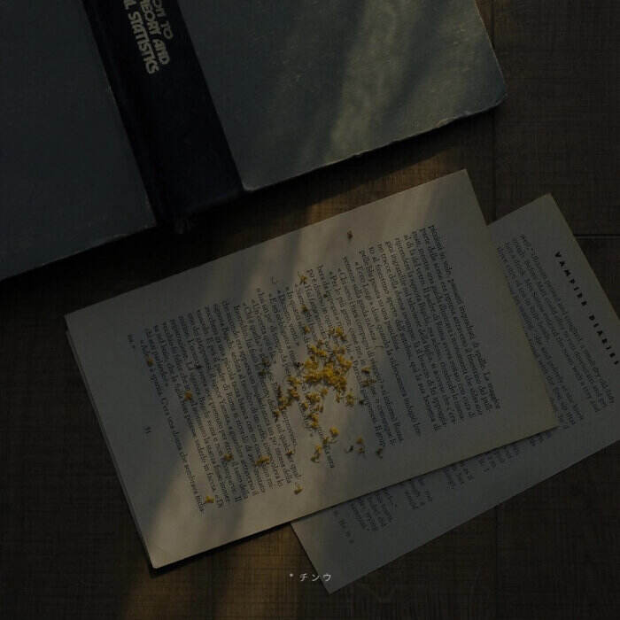 新买的手机没有应用怎么办,新买的手机没有网怎么办