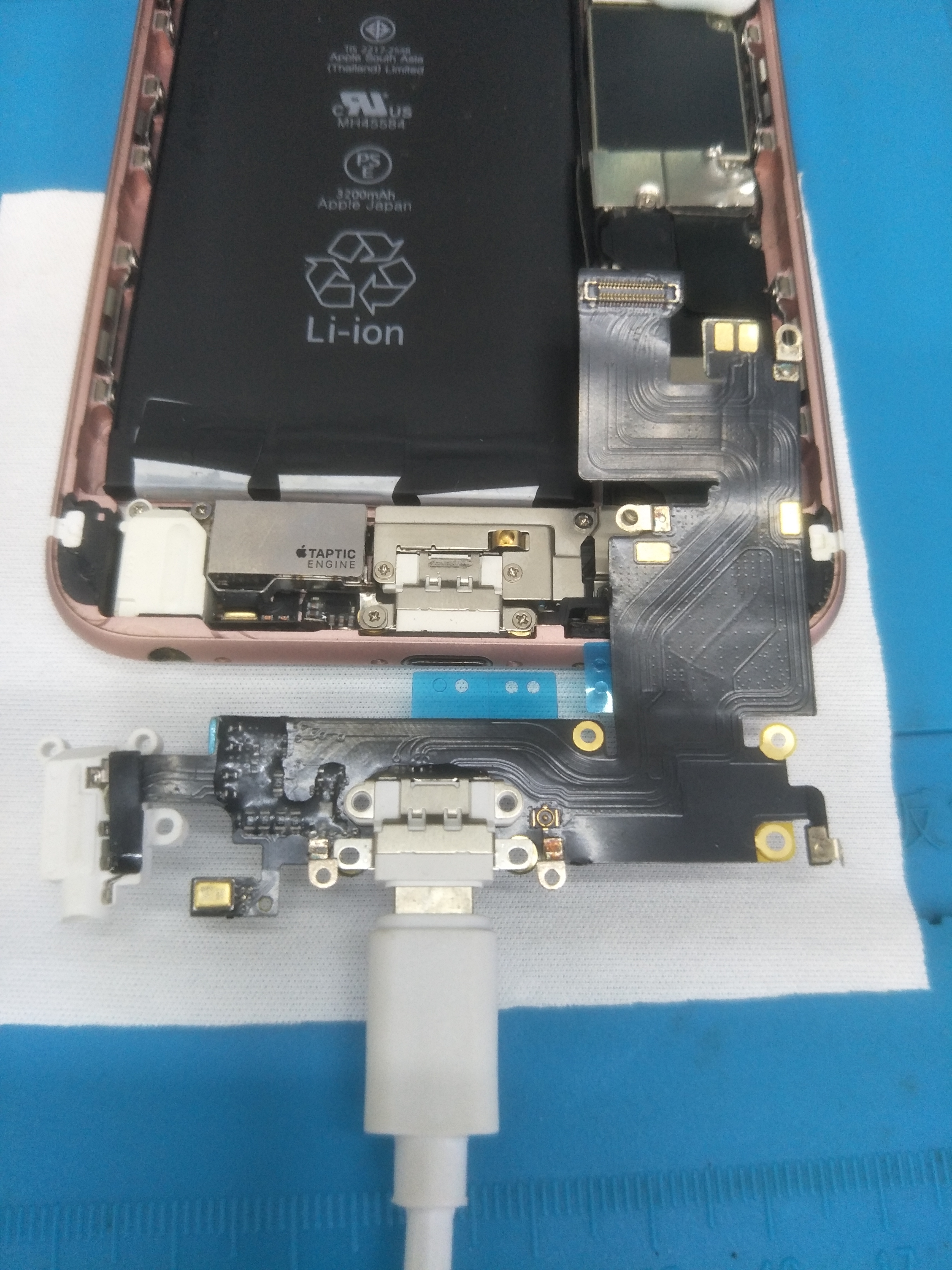 *窥偷**苹果6s“菊花”(尾插)的秘密