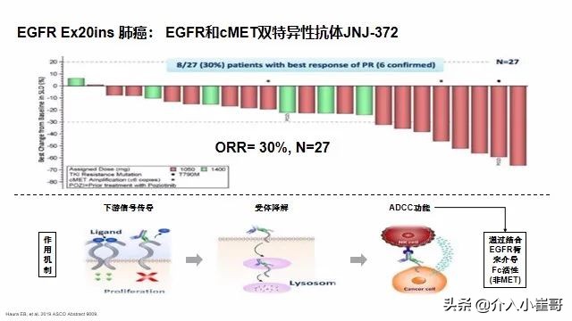 肺癌罕见基因治疗进展,肺癌只有基因突变才能靶向治疗吗
