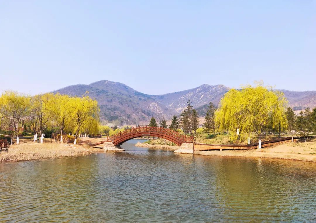 西郊山林休闲养生度假公园,休闲好去处西郊森林公园