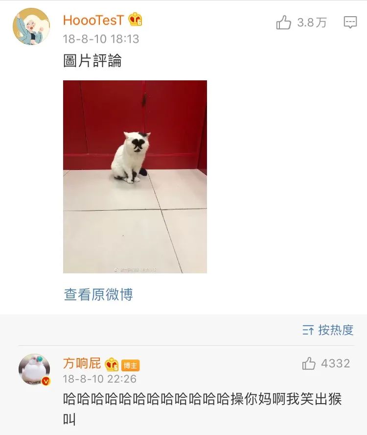 丑猫大赛视频完整版,2020年丑猫大赛看看丑到你了没