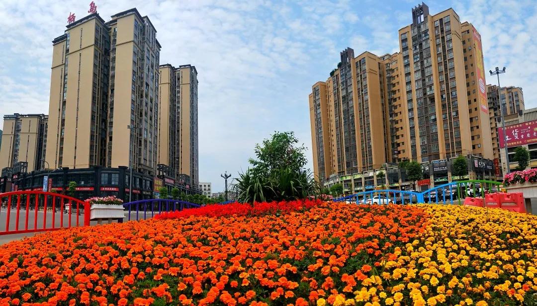 最美的人间四月天演唱视频,最美的人间四月天如约而至