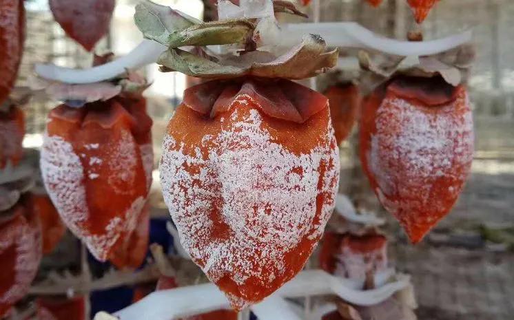 中药古今研究羌活,中药古今研究的视频