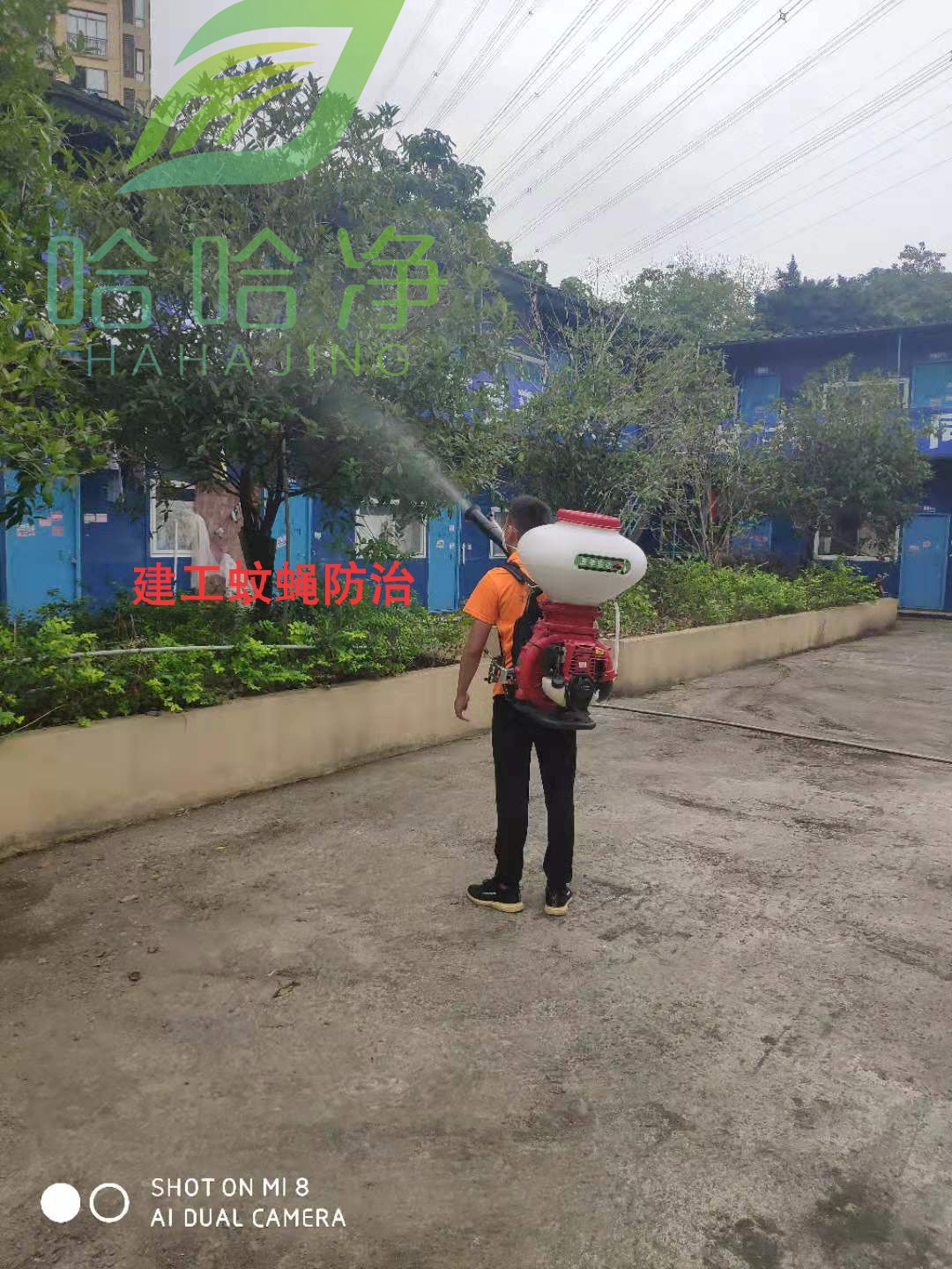 食品厂虫害控制,茂名食品厂虫害处理