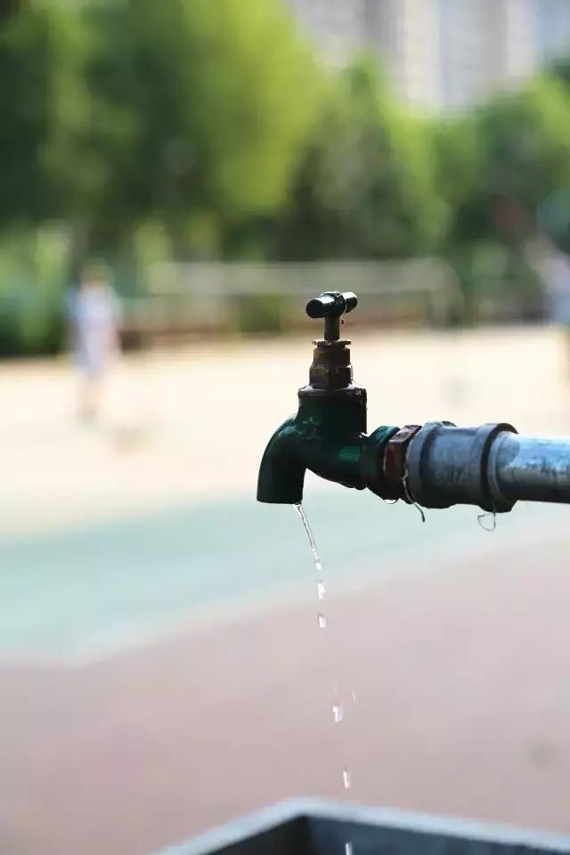 西法大青春力量,西法大