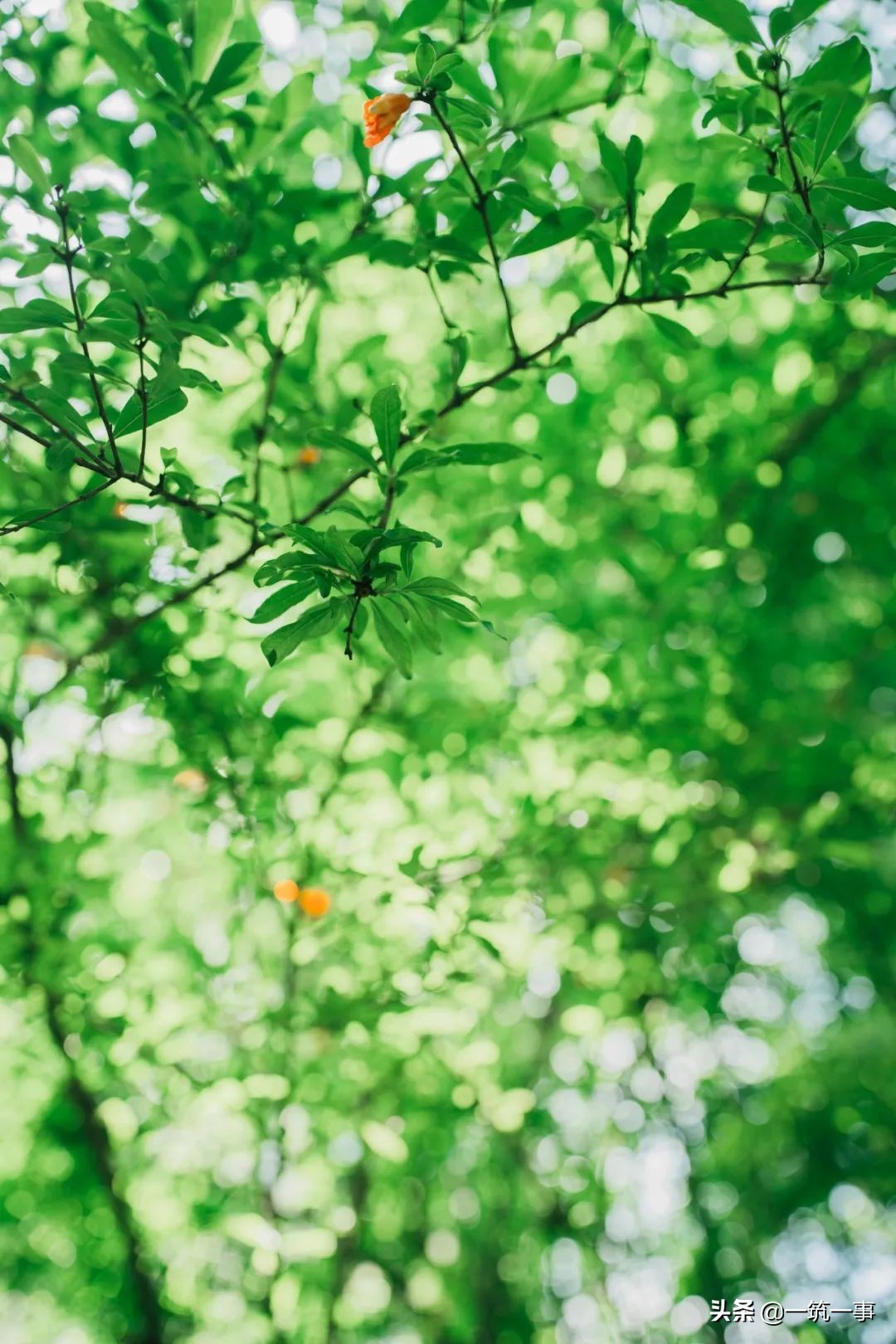 成都东二环最新消息,发觉成都