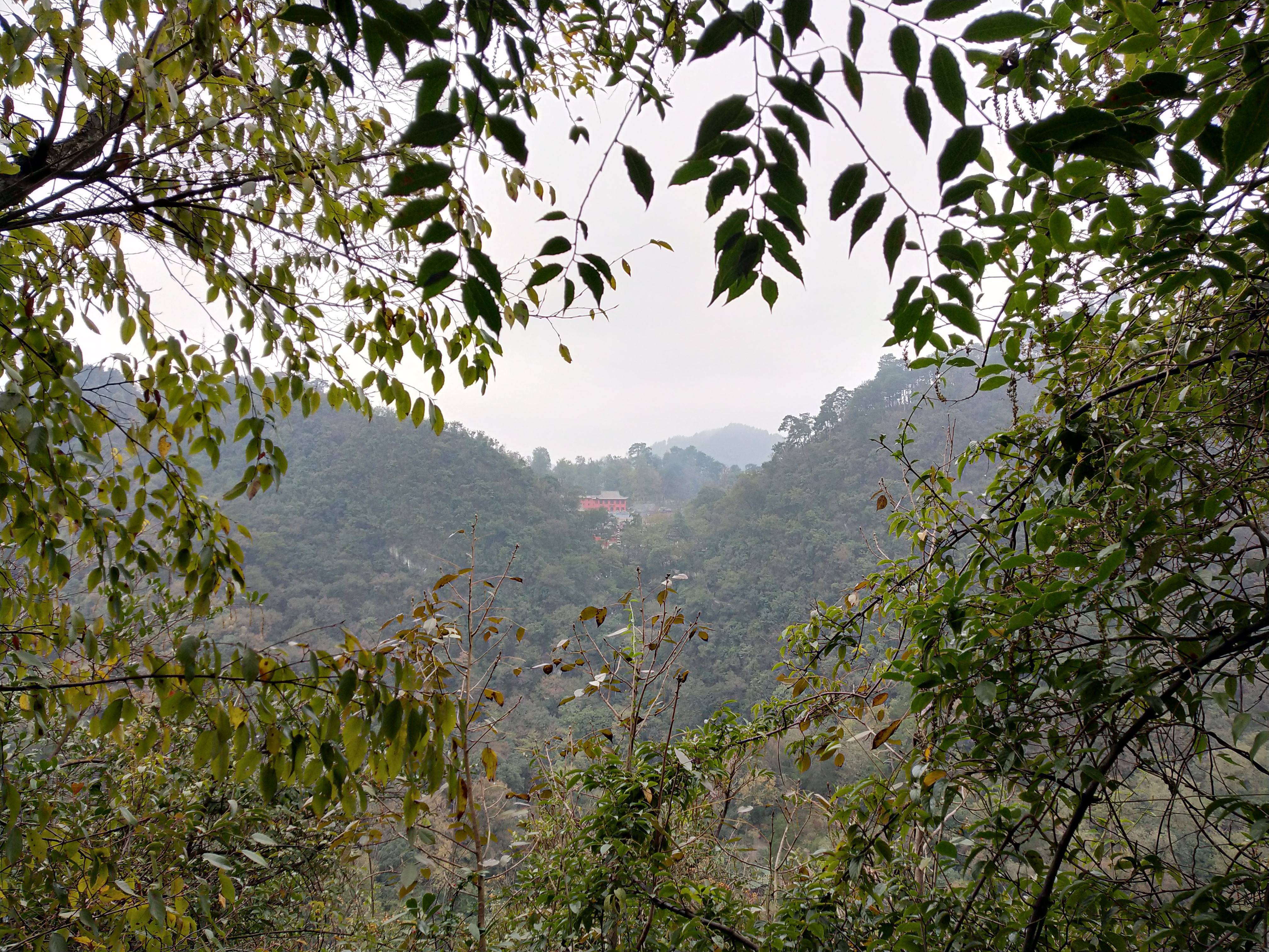 微游贵阳:深度玩透黔灵公园之自然风景