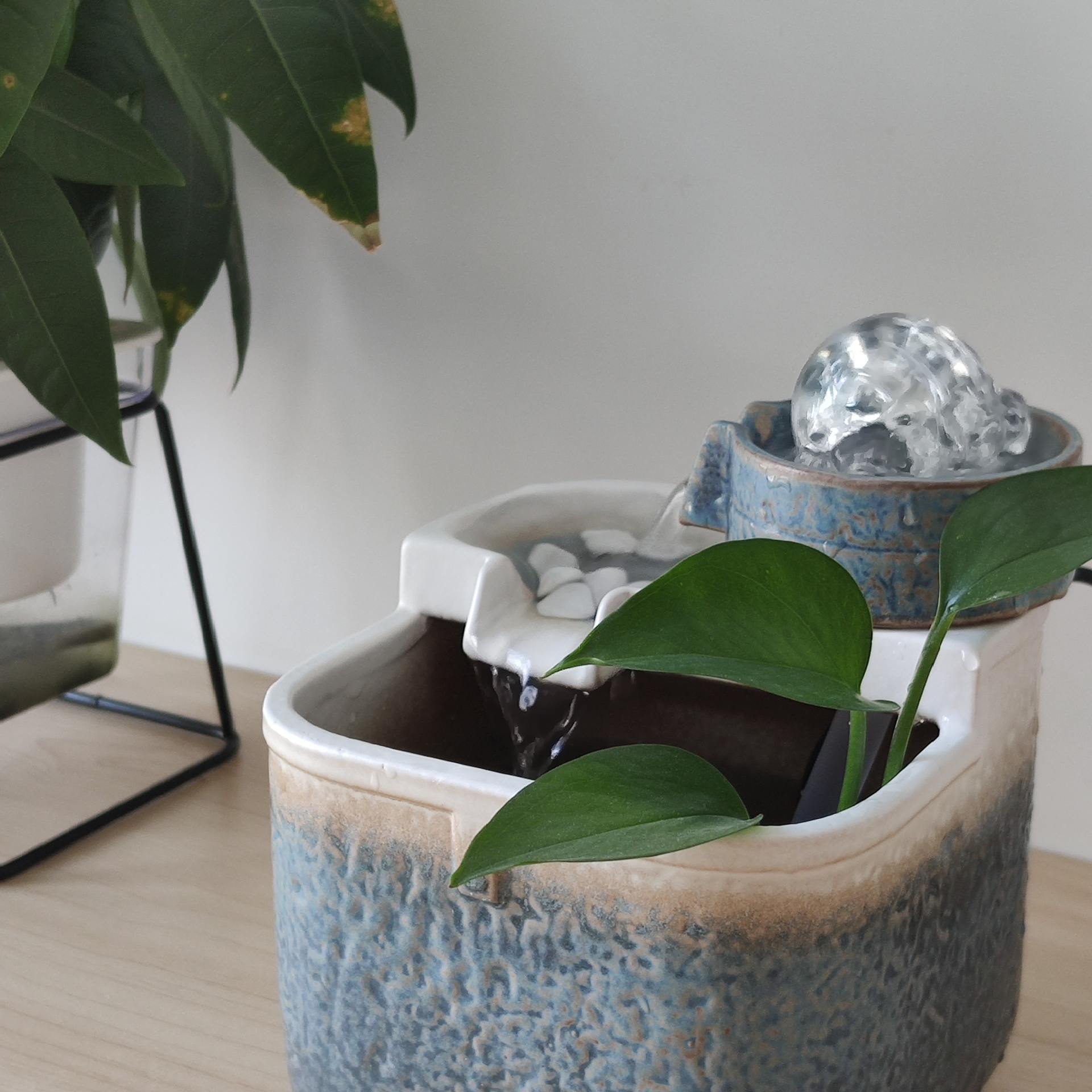 关于鱼缸的风水讲究图片,鱼缸的风水知识禁忌