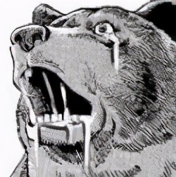 伊达朝宗日本战国,伊达政宗巅峰版图