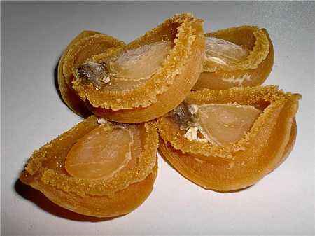 世界鲍鱼品种大全，看完成半个专家了！