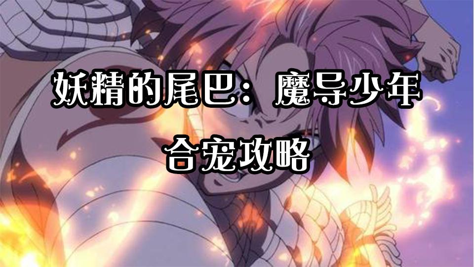 妖精的尾巴魔导少年宠物打书攻略,妖精的尾巴魔导少年剧情