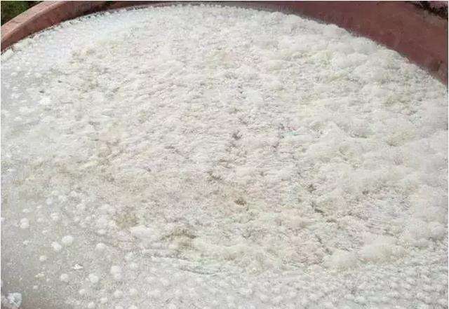 家庭种植花生麸沤液肥,怎么沤制好花生麸液肥