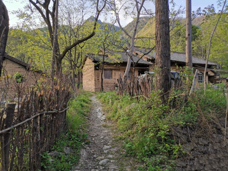 养殖致富项目一万元,农村靠谱小成本养殖项目