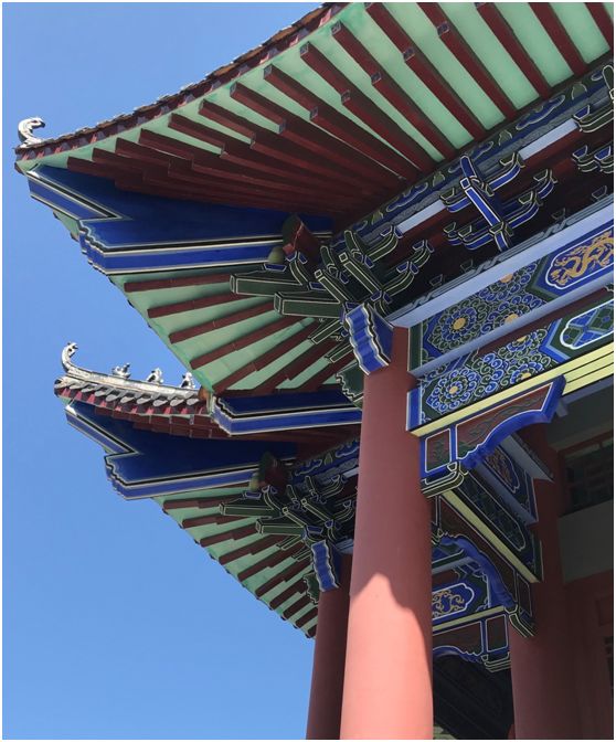 翁源东华地窖酒,韶关翁源赏荞麦花