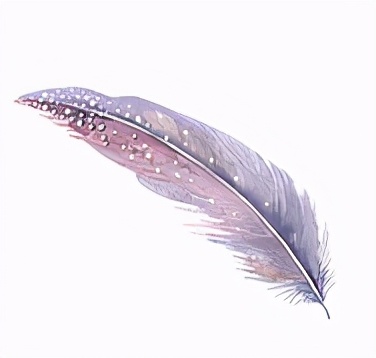 Werefamily!B族维生素系列之B1|缺乏B1会得脚气？真菌表示不服