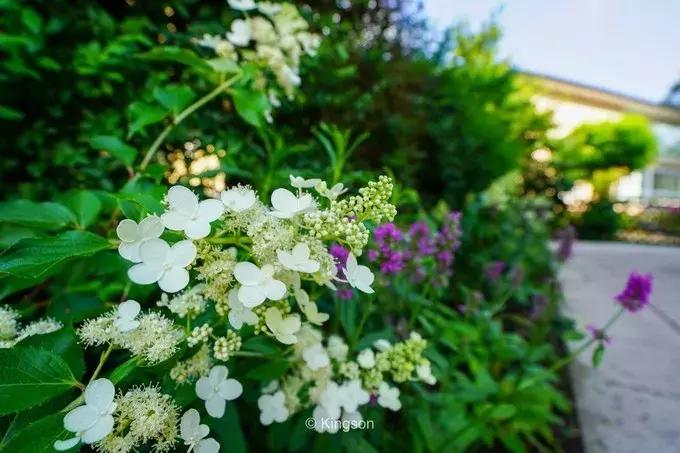 体验师徐凯德瑞意奥之旅（四）——走进中欧的童话国度
