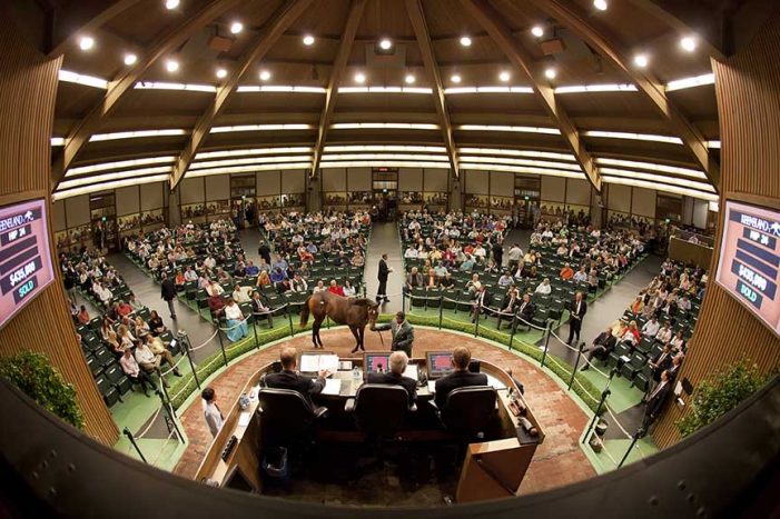 沙海行舟,现实中的霸道总裁,迪拜首富超乎常人想象的生活