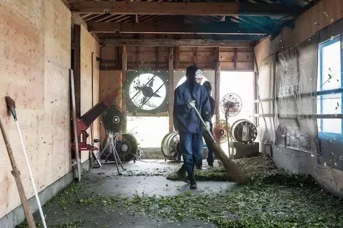 匡威1970s配色最好看的,什么颜色的匡威1970s好看