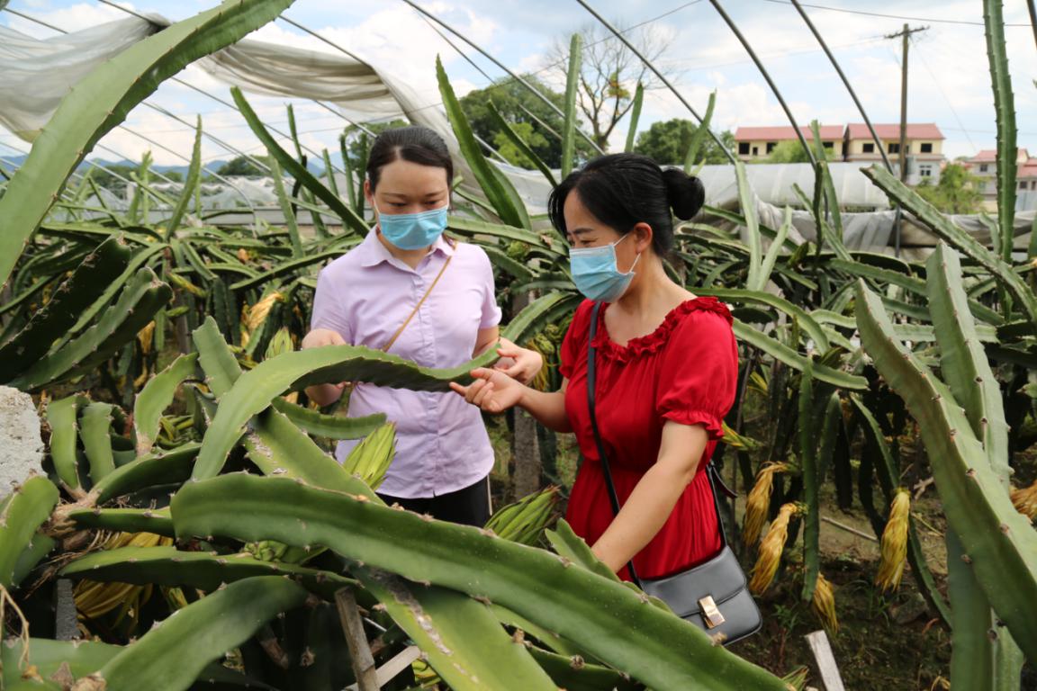 农行县支行绿色金融助力发展,农行邢台分行助力普惠金融发展