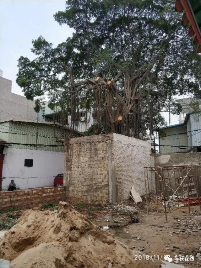 潮州第一大祠堂在哪里,潮安区庵埠祠堂