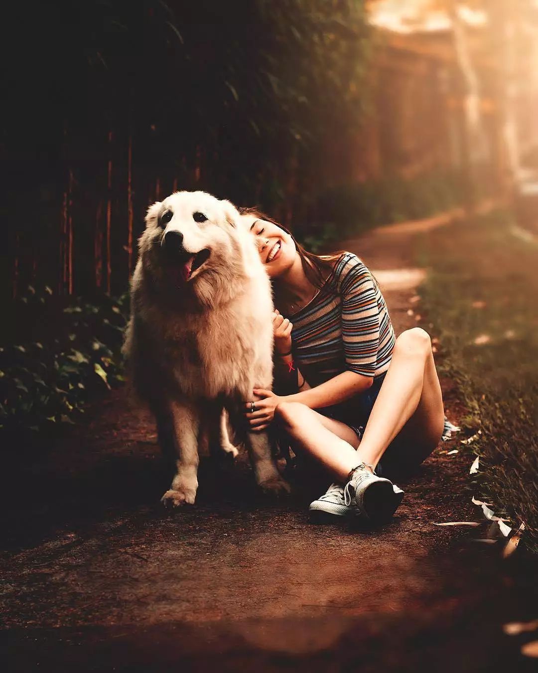 如何在日常生活中判断狗狗的健康,怎么从外表判断狗狗的健康情况