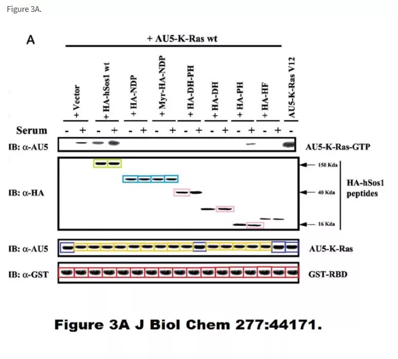 论文图片作假,论文撤稿是真的假的