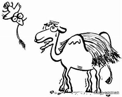 什么是压倒你的最后一根稻草,压垮最后一根稻草是什么意思