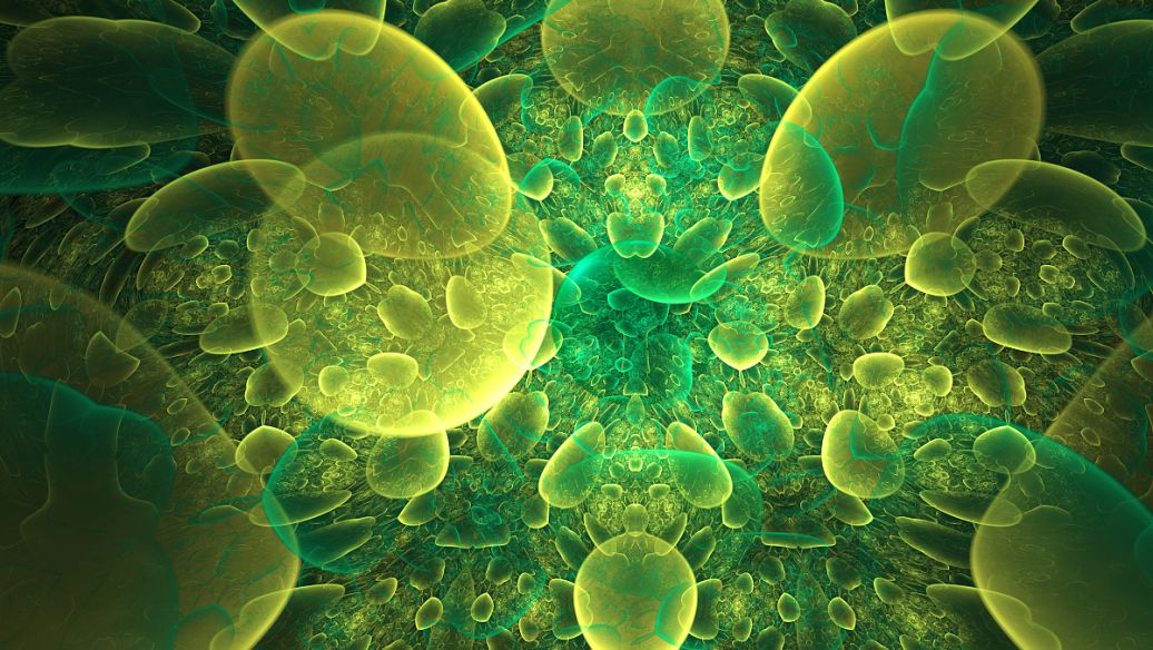 14亿人口一天排泄多少吨大便,全国人每天产生的屎尿都去哪了