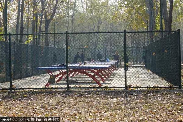 北京古塔公园推荐,北京最良心的古寺免费景点