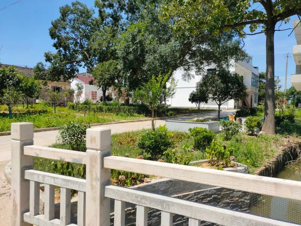 江阴新桥最美庭院,江苏江阴阳台风景