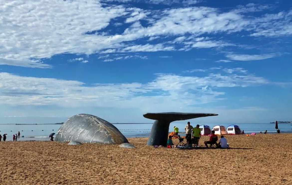 北戴河为什么那么多俄罗斯人,北戴河是不是离俄罗斯近