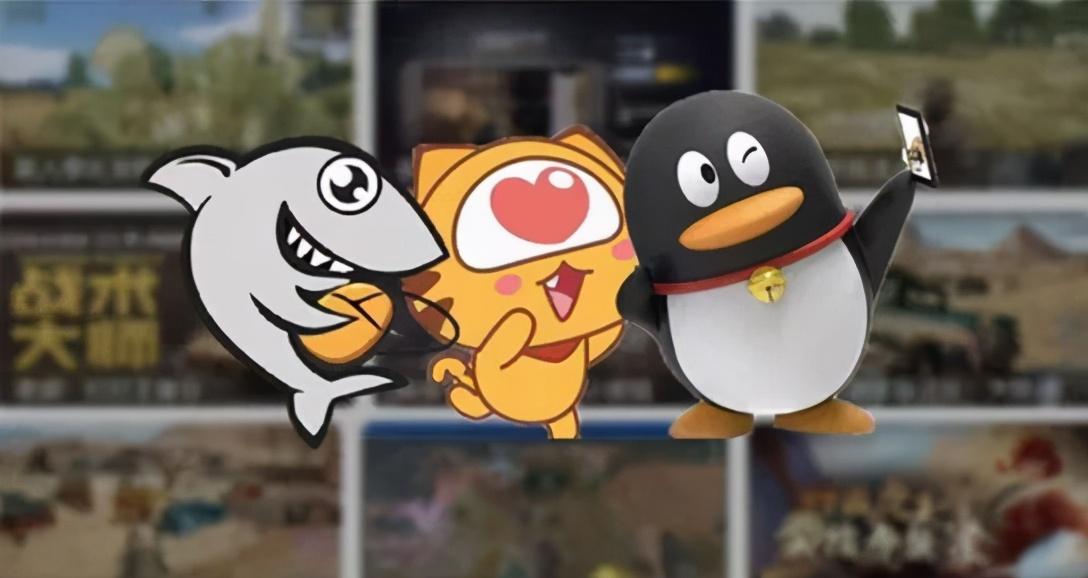 *牙虎**斗鱼“婚检”失败，焉知非福？