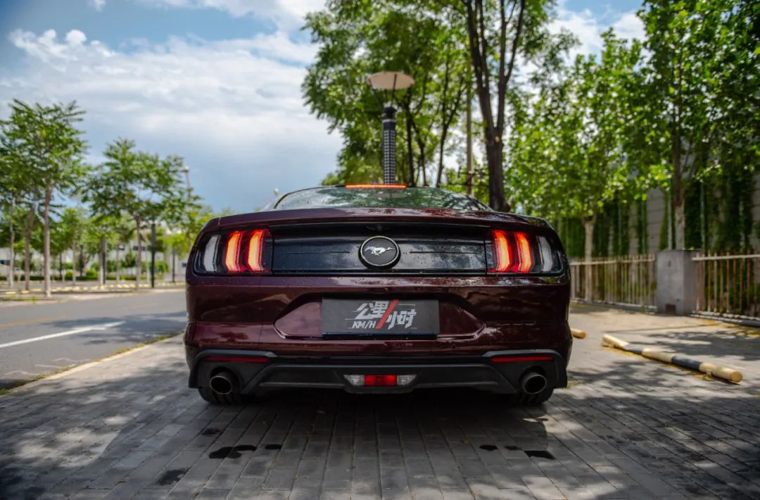 野马2.3t被叫野驴,野马2.3t小野驴